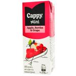 Cappy Mini Berries-Grapes-Apple Nectar 200ml