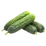 Огірок корнішон ~10-15см