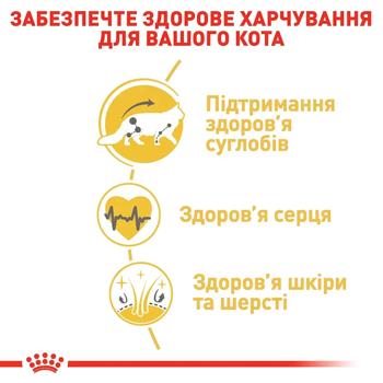 Корм сухий Royal Canin для котів породи мейн-кун 2кг - купити, ціни на MasterZoo - фото 3