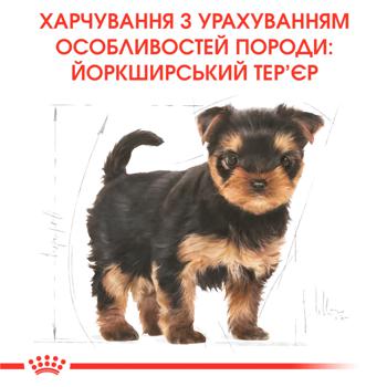 Корм сухой Royal Canin с домашней птицей для щенков породы йоркширский терьер 1,5кг - купить, цены на MasterZoo - фото 3