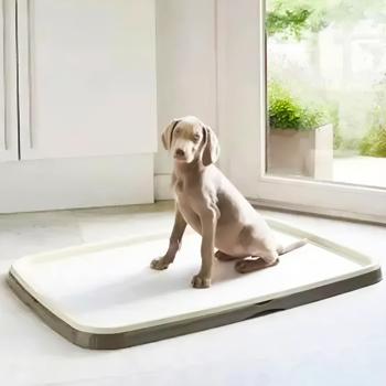 Туалет для собак MP Bergamo Gastone L Pannolino 90x60см - купити, ціни на MasterZoo - фото 4