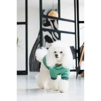 Худі для собак Pet Fashion Woody XS - купить, цены на MasterZoo - фото 4