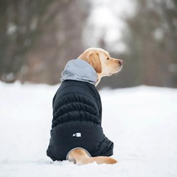Комбінезон для собак AiryVest One р.XS30 - купити, ціни на MasterZoo - фото 4