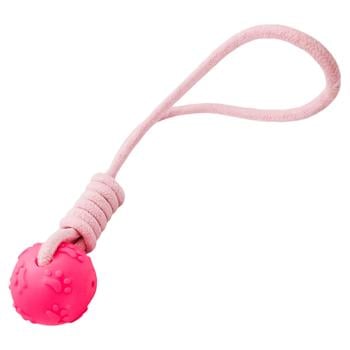 Ball with Rope Toy for Dogs 40cm