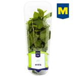 Metro Chef Fresh Mint 50g