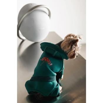 Costume Pet fashion Ukraine - buy, prices for MasterZoo - photo 6