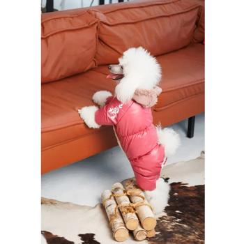 Комбінезон для собак Pet Fashion Cherry M - купити, ціни на MasterZoo - фото 4
