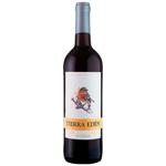 Wine Tierra eden 750ml Spain