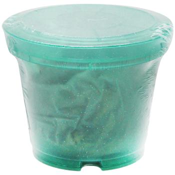 Комплект з субстратом та піддоном - купити, ціни на Auchan - фото 8