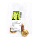 Kio Gladiolus Bulb Tuber 3pcs