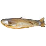 Cold Smoked Trout Carcass