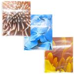 Блокнот В5 Optima 60 арк. клітинка на пружині O25932/3/4/5