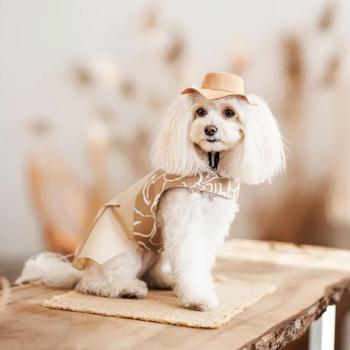 Panama Pet fashion - buy, prices for MasterZoo - photo 4