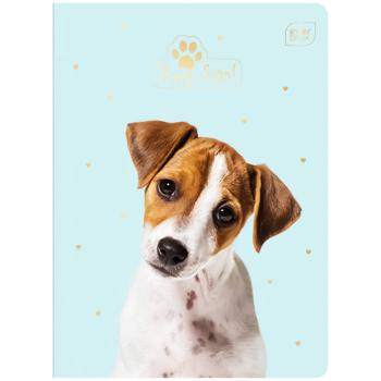 Interdruk Puppy Sign Notebook A5 16 sheets in assortment - buy, prices for Auchan - photo 4