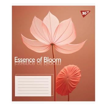 Зошит Yes Essence of Bloom клітинка А5 24 аркуші - купити, ціни на - фото 5