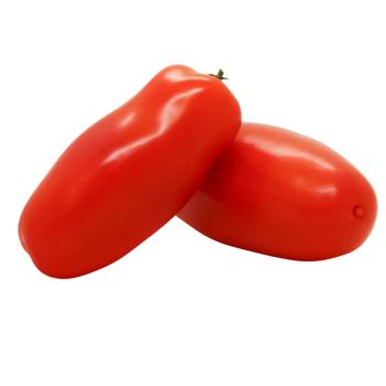 San Marzano Tomato