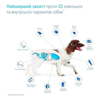 Boehringer Ingelheim NexGard Spectra Tablets for Dogs from 2 to 3.5kg Against External and Internal Parasites 3pcs - buy, prices for MasterZoo - photo 3