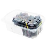 Виноград Gronko синий