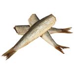 Тушка салаки Українська Зірка горячего копчения