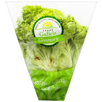 Lollo Bionda Green Salad - buy, prices for - photo 4