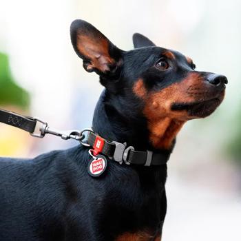 Collar - buy, prices for MasterZoo - photo 3