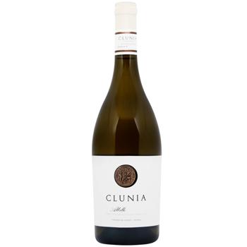 Вино Clunia Albillo белое сухое 12,5% 0,75л - купить, цены на WINETIME - фото 1