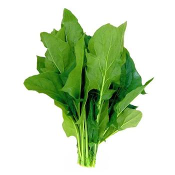 Greens sorrel fresh - buy, prices for Ideal - photo 1