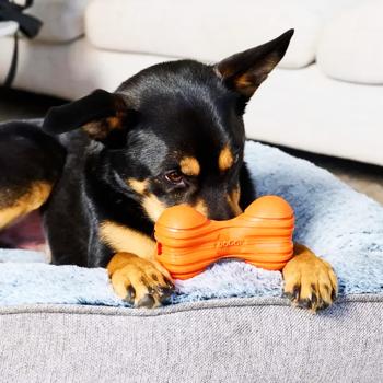 Іграшка для собак Doggi Catch & Carry Ribbed Bone 14х8х4,8см - купити, ціни на MasterZoo - фото 3