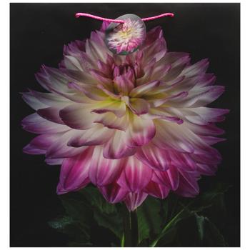 Art Studio of Happines GB-24173 Gift Bag 35х37х12cm - buy, prices for EKO Market - photo 1