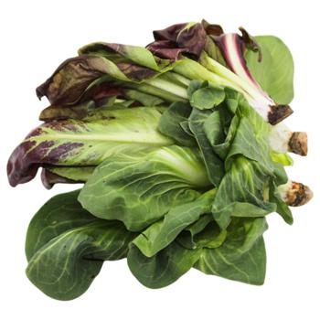 Салат Цикорино микс - купить, цены на METRO - фото 1