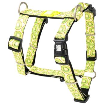 Leash Max and molly Germany - buy, prices for MasterZoo - photo 1