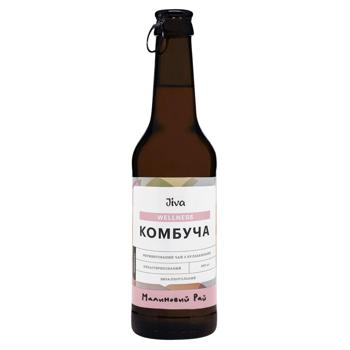 Jiva Raspberry Paradise Kombucha 0.33l - buy, prices for NOVUS - photo 1