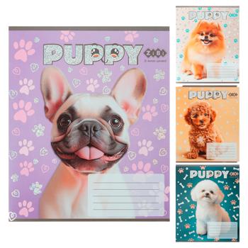 Тетрадь ZiBi Dogs косая линия 12 листов в ассортименте - купить, цены на ЕКО Маркет - фото 1
