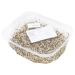 Alfalfa Microgreens 50g