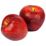 Fruit Without brand