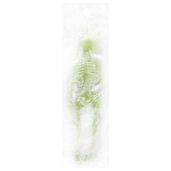 Phosphorus Skeleton 20cm