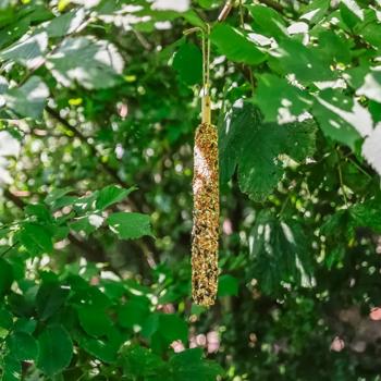 Trixie Food bar XL ласощі для птахів 30 см 170 г - просо - купить, цены на MasterZoo - фото 4