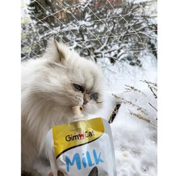 Ласощі для котів GimCat Cat-Milk 200 мл (молоко) - купити, ціни на MasterZoo - фото 2