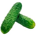 Vegetables cucumber Without brand Turkey