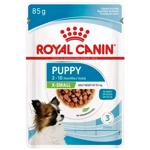 Dog food Royal canin 85g