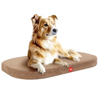 Bench - buy, prices for MasterZoo - photo 5