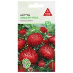 Agrokontrakt Aster Zilber Rose Seeds 0.1g