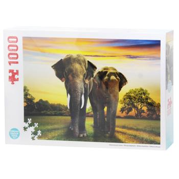 Пазл DGT-Puzzle Синьо-жовті Арарауна 1000 елементів - купити, ціни на Auchan - фото 8