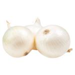Vegetables onion white fresh