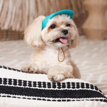 Кепка для собак Pet Fashion Topaz р.S бірюзовий - купити, ціни на MasterZoo - фото 7