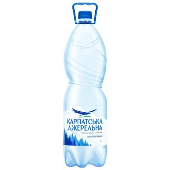 Karpatska Djerelna Carbonated Mineral Water 2l - buy, prices for METRO - photo 2