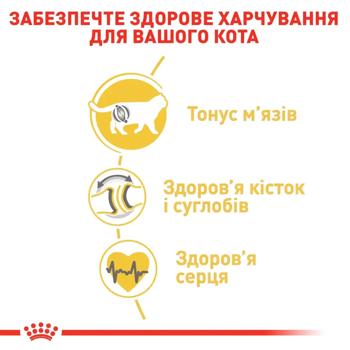 Корм сухой Royal Canin Adult с домашней птицей для кошек породы британская короткошерстная 2кг+400г - купить, цены на MasterZoo - фото 3