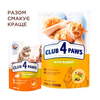 Club 4 Paws Premium Dry Food with Rabbit for Adult Cats 2kg - buy, prices for Supermarket "Kharkiv" - photo 4