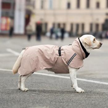 Raincoat Noble pet Ukraine - buy, prices for MasterZoo - photo 6
