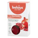 Bolsius Pomegranate Tea Lights 6pcs